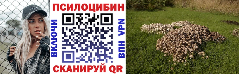Галлюциногенные грибы MAGIC MUSHROOMS  где купить наркоту  Бирюч 